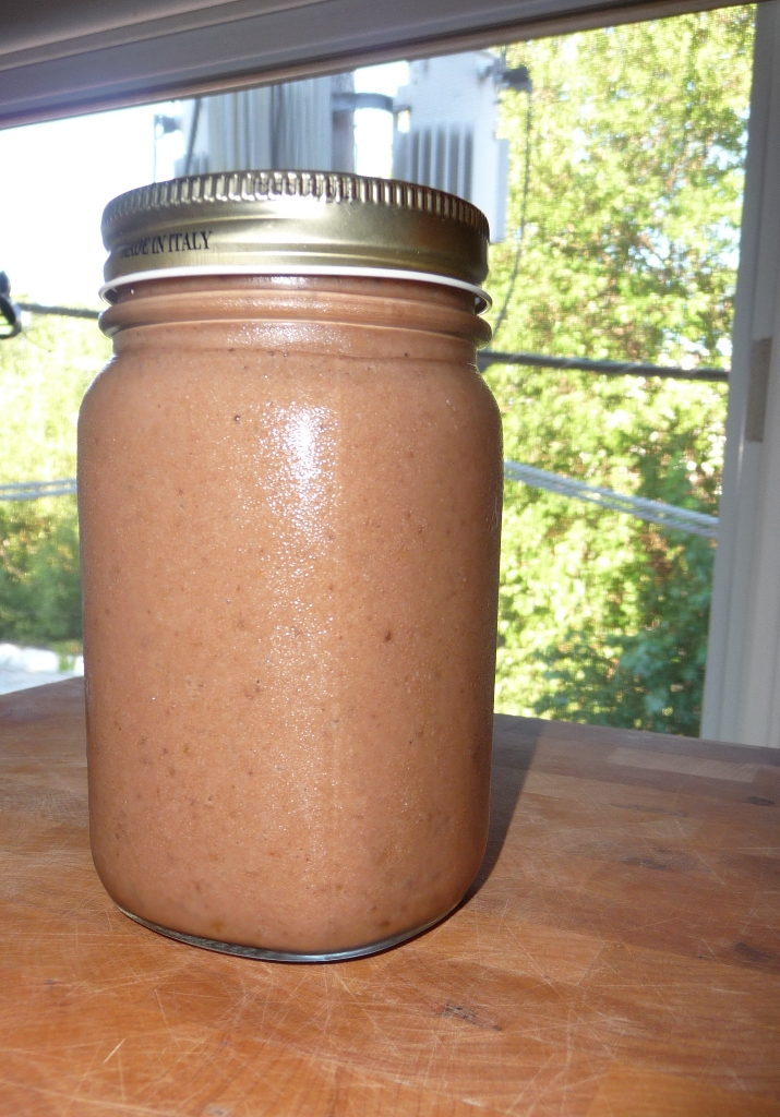 How To Store Smoothies While Travelling